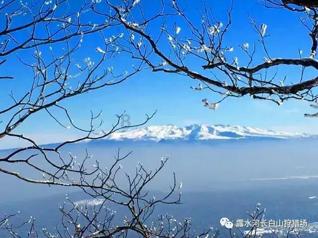 123澳门正版资料老玩家