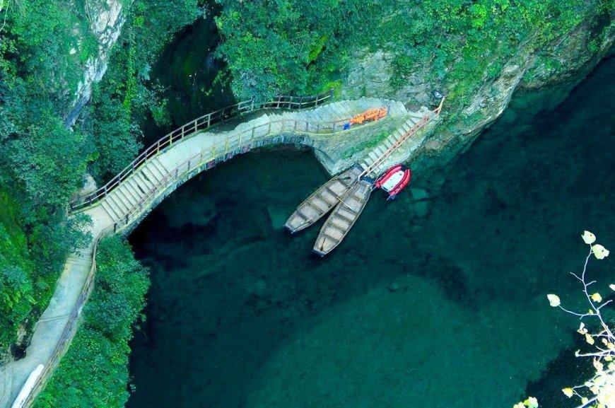 求这张图出处